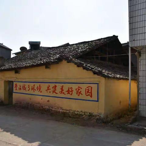 今夜，我把乡愁揉成了一粒种子