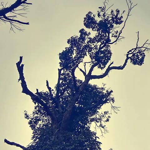 父亲是座伟岸的山