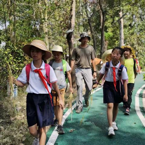 萍师附小四（4）班幕冲数学实践活动