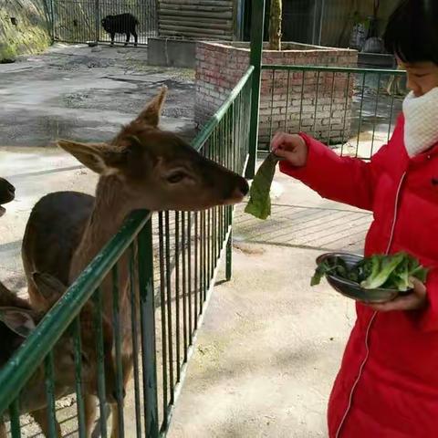 红红火火过大年，高高兴兴访亲友。