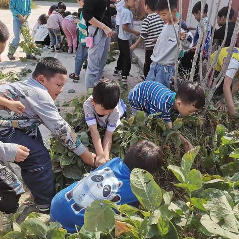 太平镇中心小学别开生面的劳动分享课