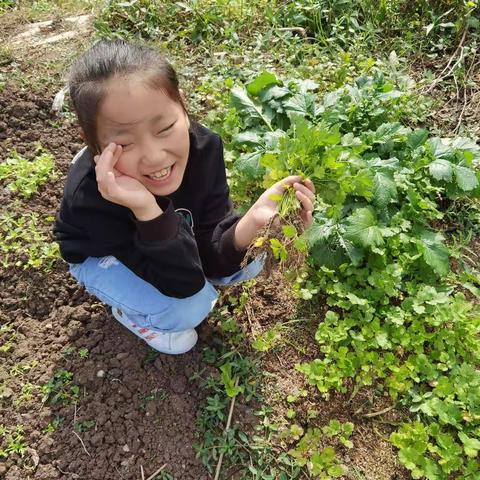 一分耕耘 一分收获