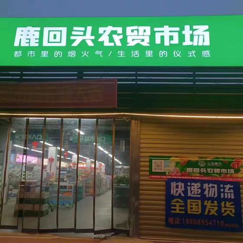 3月27日草木环境（对港华市场、东河市场、鹿回头市场进行捕鼠）