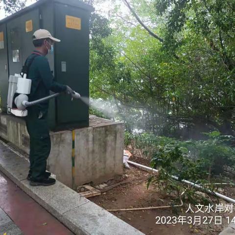 3月27日草木环境（关于吉阳区河东路62号人文海岸小区对面河边蚊虫多问题)