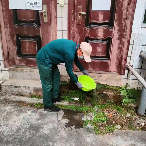 草木环境3月21日工单汇总