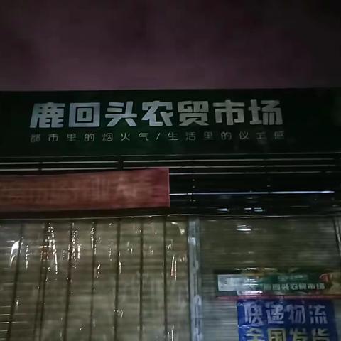 3月29日草木环境（东河市场、港华市场、鹿回头市场、鹿回头小学捕鼠）