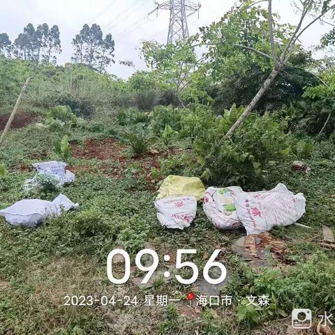 秀英巡查组的美篇