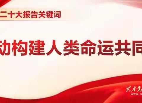【乌鲁布铁镇基层党建办】二十大报告关键词 | 推动构建人类命运共同体