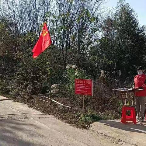 大溪乡我为群众办实事，党旗飘扬在防疫一线