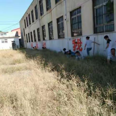 杜庄小学拔草进行时