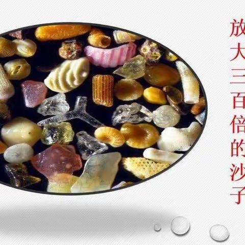 扫码微课堂（六上）