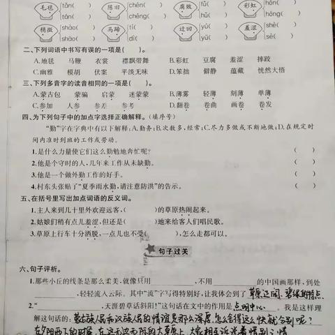 六上期末复习知识盘点和过关练