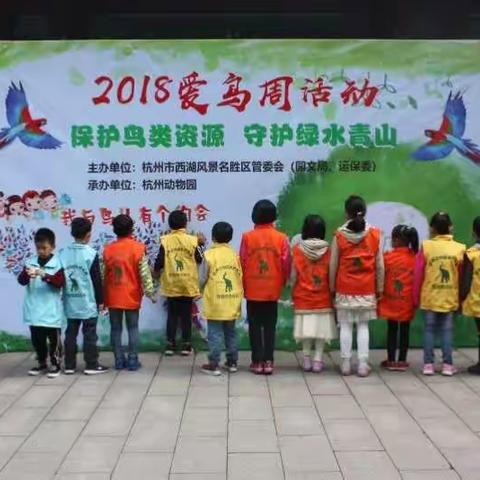 让我们在这鸟语花香的季节里与鸟儿来次亲密的接触