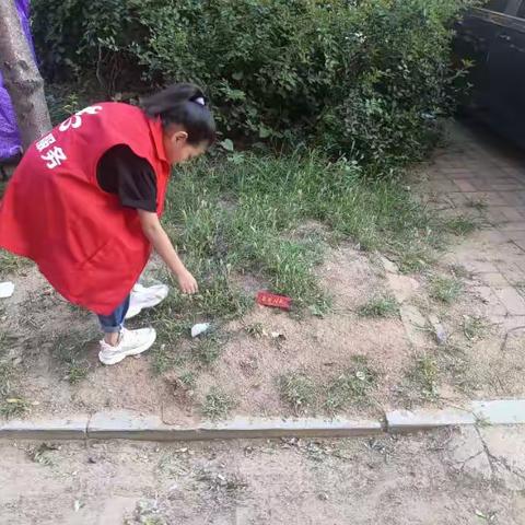 暑期志愿服务活动               我为小区做贡献