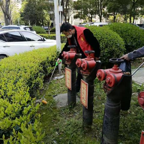 永丰街道董家店社区【新时代文明实践站】周末清洁