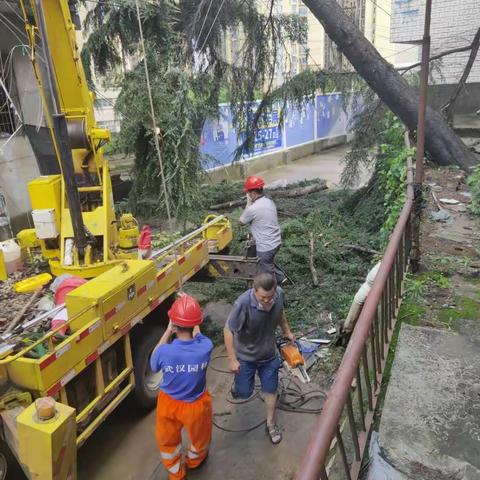 龙磨社区防汛工作小记