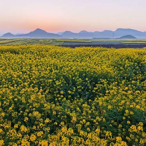 开着房车去旅行(五)(2022.03.01)