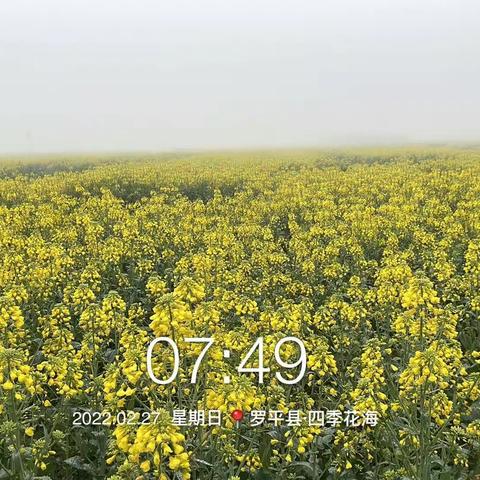 开着房车去旅行(三)(2022.02.27)