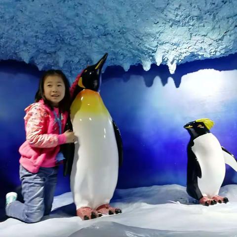 极地海洋世界一日游