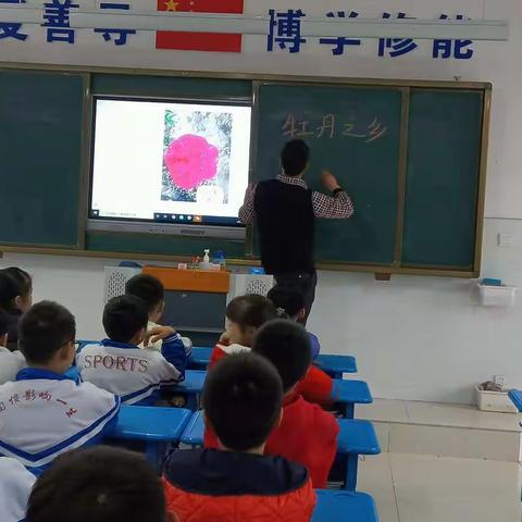 牡丹知识讲座