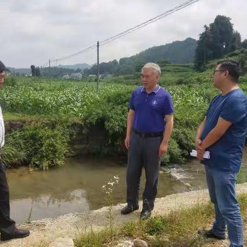 护好绿水青山•贯彻生态理念 ---县级河长田景高主席到进化镇开展巡河巡林活动