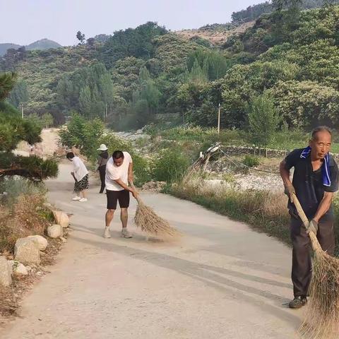 大王庄镇：宅科村农村人居环境整治行动中