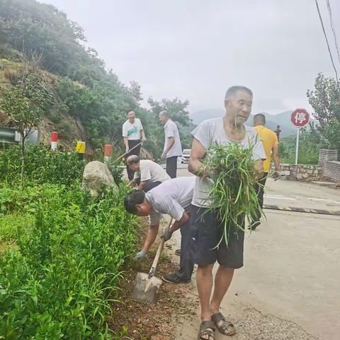 大王庄镇宅科村：改善农村人居环境，建设美好宜居的乡村