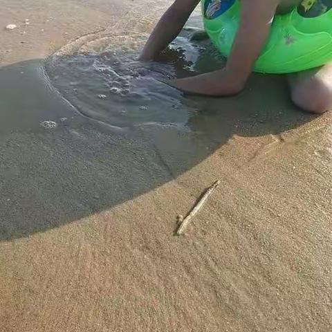 武陵国际304班谭东旭快乐暑假