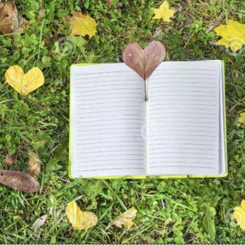 自律、自主，厚积薄发——孙驰竣线上学习两周日志