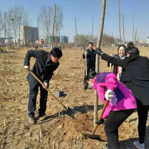 滦县教育局积极参加义务植树活动