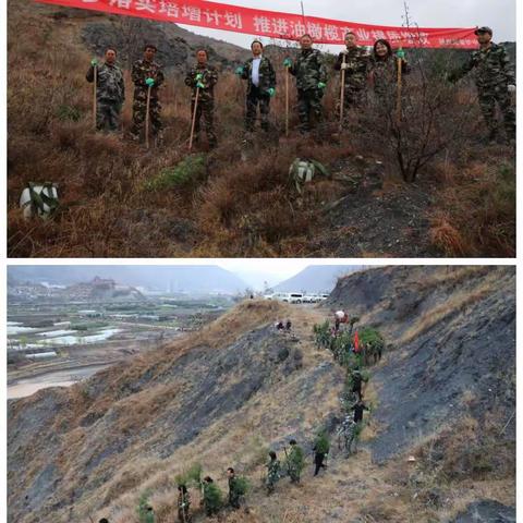 不负春光添新绿   劳模林里植树忙——白龙江林区劳模林（两水片区）2023年春季植树活动