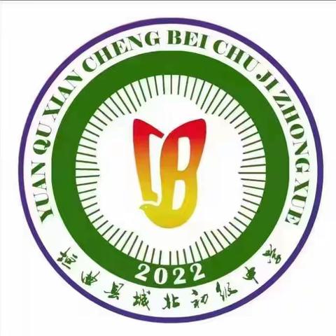 幸“盔”有你，“带”你安全—城北初中交通安全教育