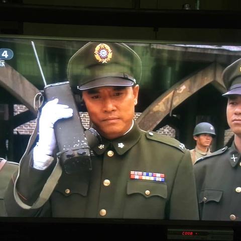 老鼠对人类的危害！