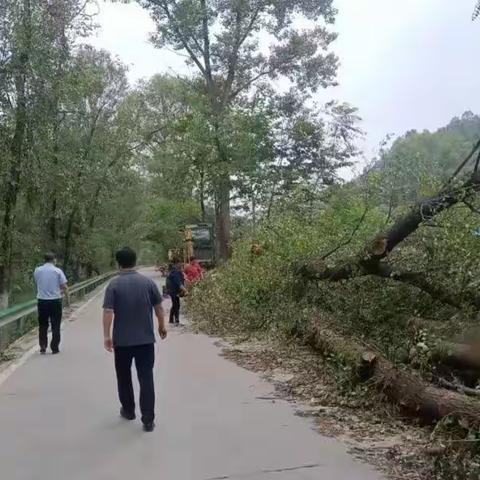 洛南县石坡镇：依法开展道路清表 确保庵巡路石寺路改建工程顺利开工