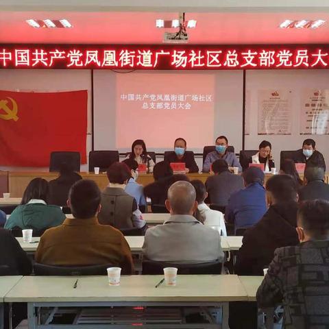 凤凰街道广场社区总支部委员会召开换届选举党员大会