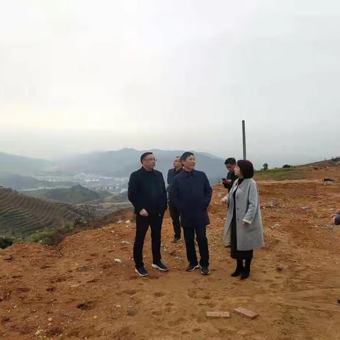 上饶市林业局调研组到广信区调研指导当前林业重点工作