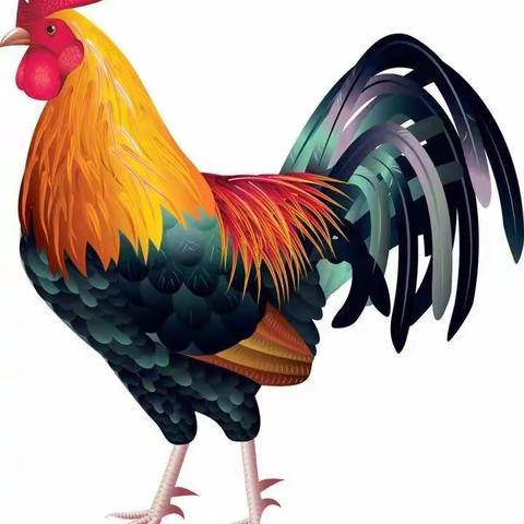 美术活动《大公鸡》