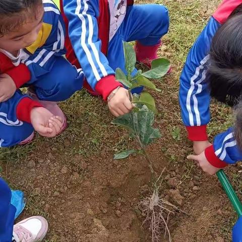 启慧智能幼儿园参加集团园2022年植树节活动