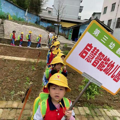 第五次去农场种植地瓜通过实践孩子们掌握了栽种的方法，能分工讨论合作！