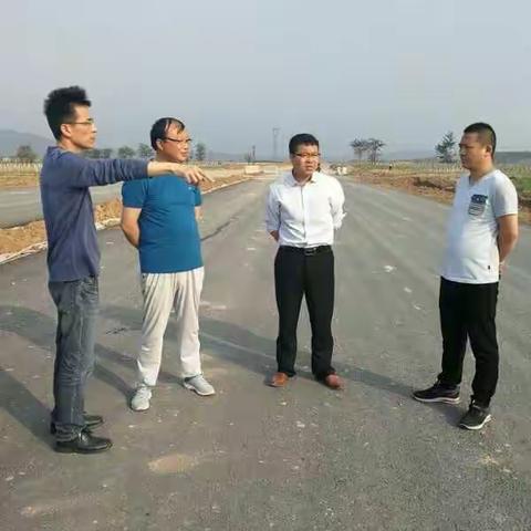 市委常委、组织部长董江力到大同镇督导绿化征地和环境卫生