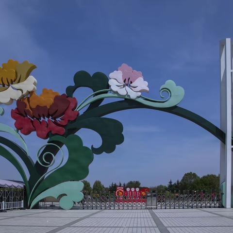 名花倾国压群艳，洛城陕州赏牡丹