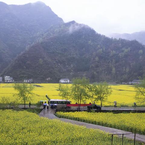 最美田园水泉坪走访记