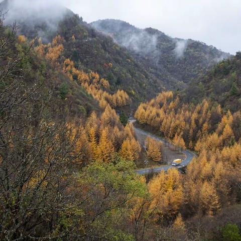又见千层河