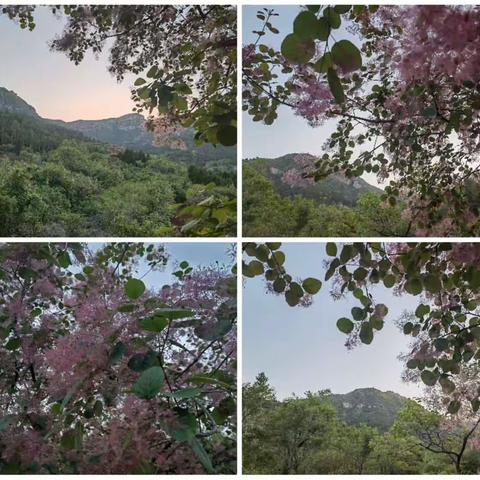 晦日“饥”游龙门山