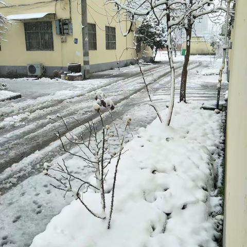 2018年的第一场雪