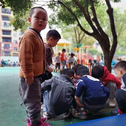 大风车幼稚园 小小班 活动剪影
