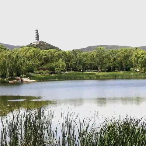 北坞公园夏日赏景！