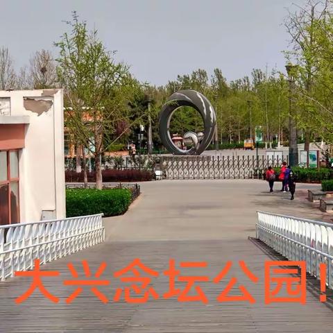 大兴念坛公园春色美！