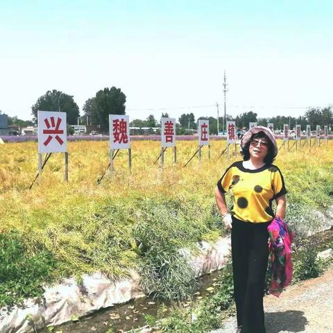 大兴魏善庄姐妹赏紫色油菜花！