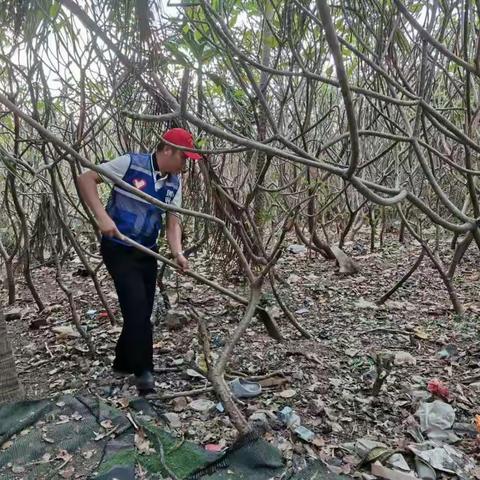 红郊社区为迎检持续开展人居环境卫生整治活动我们在行动。